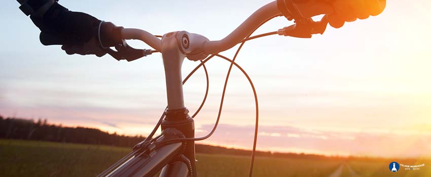 Read more about the article Mountain Biking Tips for Beginners