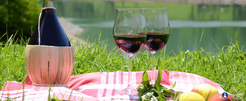 VWWS-Wine and fruits served at a picnic