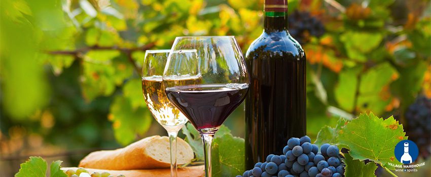 Read more about the article Which Is Healthier: Red or White Wine?